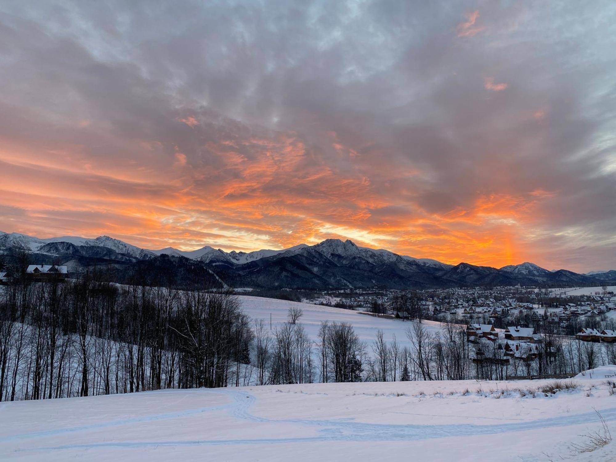 Domki Jawor - Zakopane — Photos 3